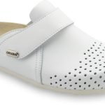 Grubin klompa Oregon